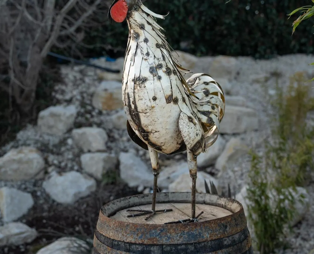 Du Coq A L'Ane Hotel Saint-Martin-la-Plaine 0*,