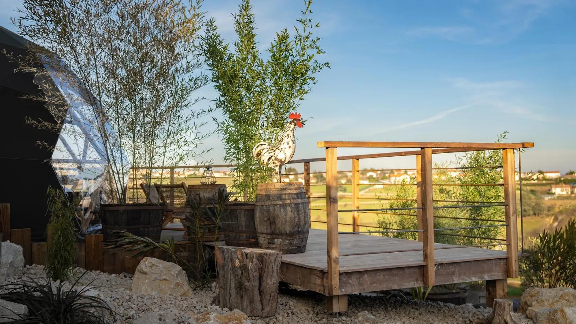 Du Coq A L'Ane Hotel Saint-Martin-la-Plaine 0*,